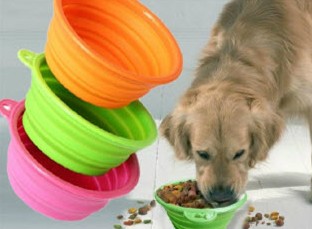 Alfie ordered our Silicone Pet Expandable/Collapsible Travel Bowl from hanchuan