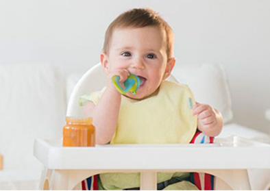 Fresh Food & Fruit Baby Feeding Teething Pacifier